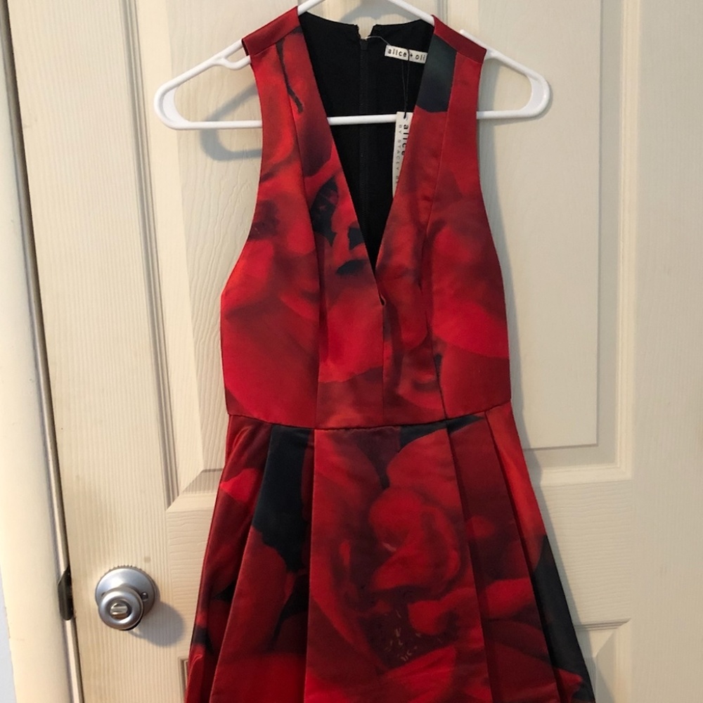 Alice + Olivia Rose Dress